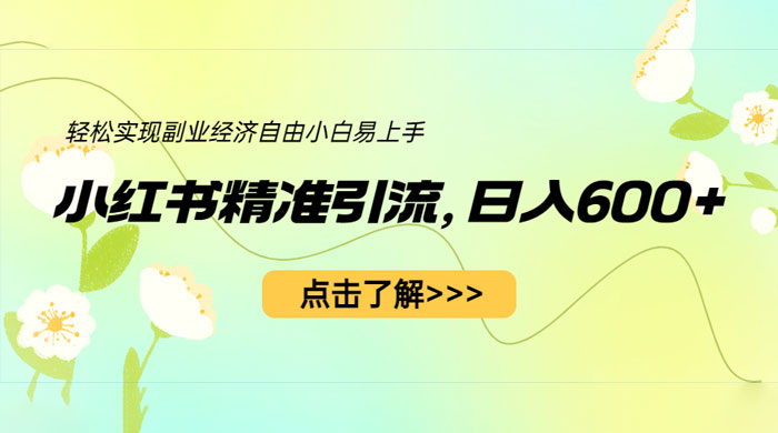 小红书精准引流：轻松实现副业经济自由（教程 + 1153G 资源）-项目资源网