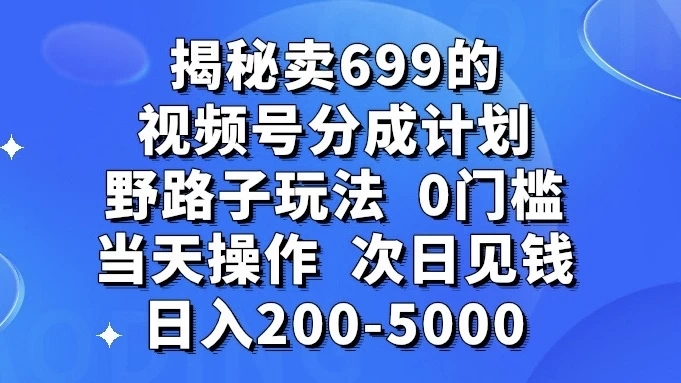 揭秘卖 699 的视频号分成计划野路子玩法,日入 200-5000,0 门槛,当天操作,次日见钱-项目资源网