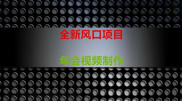 年会视频制作项目，全新风口-项目资源网