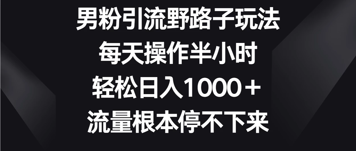 男粉引流野路子玩法，每天操作半小时轻松日入1000＋，流量根本停不下来-项目资源网