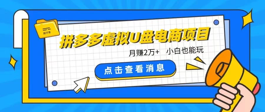 拼多多虚拟U盘电商红利项目：月赚2万+，新手小白也能玩-项目资源网