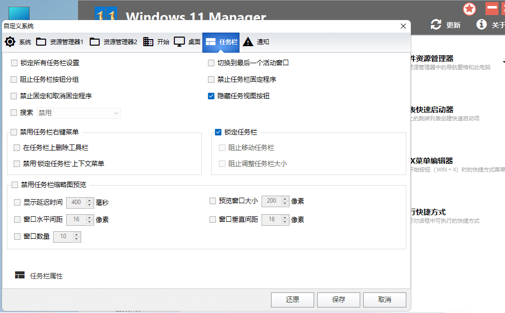 图片[2]-Windows 11 Manager v1.0.6 免激活便携版-项目资源网
