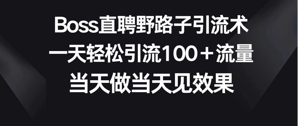 Boss直聘野路子引流术，一天轻松引流100+流量，当天做当天见效果-项目资源网