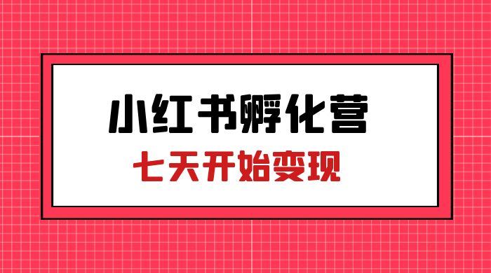 价值 2000+ 的小红书孵化营项目，超级大蓝海，七天即可开始变现，稳定月入 1W+-项目资源网