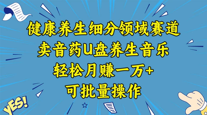健康养生细分领域赛道,卖音药U盘养生音乐,轻松月赚一万+,可批量操作-项目资源网