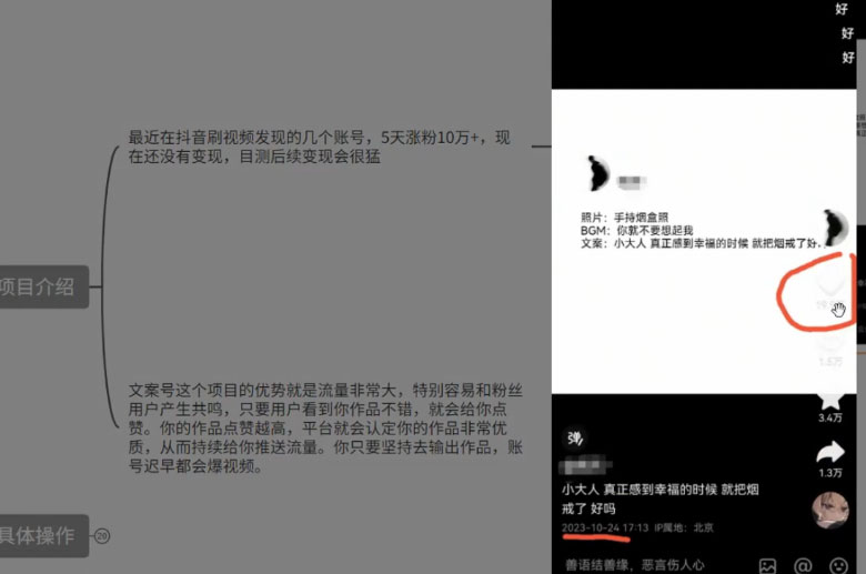 图片[2]-最新抖音暴力文案号，五天涨粉 10w+，喂饭级拆解教学-项目资源网