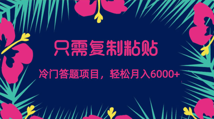只需复制粘贴,冷门答题项目,轻松月入 6000-项目资源网