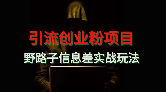 野路子信息差玩法实战教学，引流创业粉-项目资源网