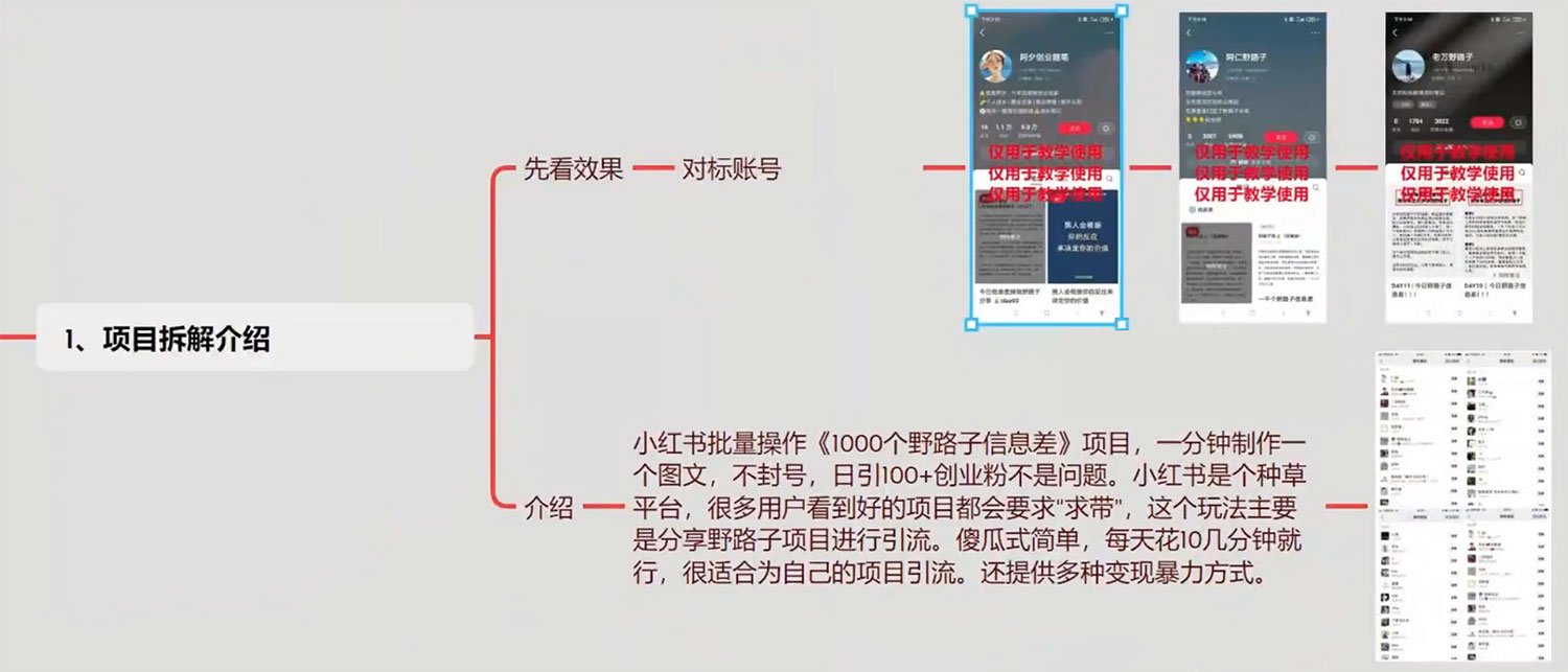 图片[2]-小红书批量操作《 1000 个野路子信息差》玩法，日引 100+ 创业粉，一分钟一个图文-项目资源网