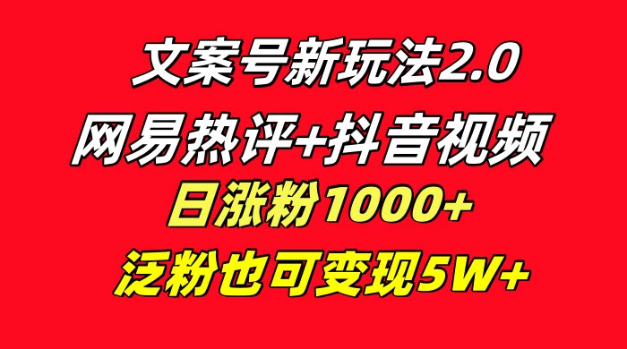 文案号新玩法,网易热评+抖音文案 一周轻松涨粉 5W+ 多种变现模式-项目资源网