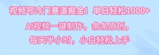 视频号冷门赛道掘金！单日轻松1000+，AI视频一键制作，条条原创，每天半小时，小白轻松上手-项目资源网