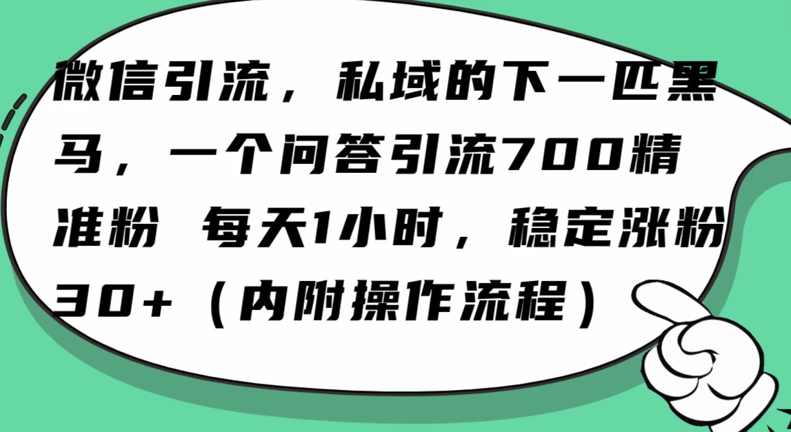 利用 AI 回答微信“问一问”，私域的下一匹黑马，一个问答引流 100 精准粉-项目资源网