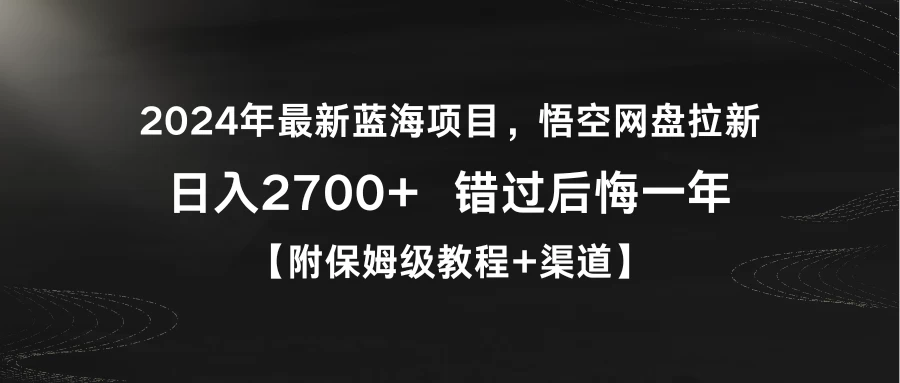 2024年最新蓝海项目，悟空网盘拉新，日入2700+错过后悔一年【附保姆级教程+渠道】-项目资源网