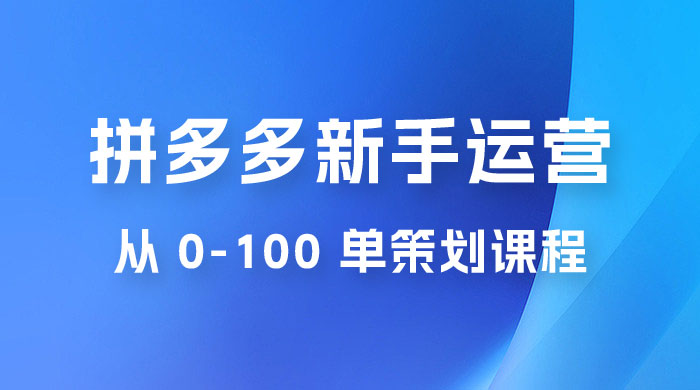 拼多多新手运营从 0-100 单策划课程，从零起步到爆单详细教程-项目资源网