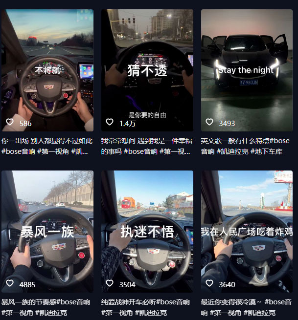 图片[2]-抖音开车视频项目：0基础操作，每天五分钟，月入过万-项目资源网