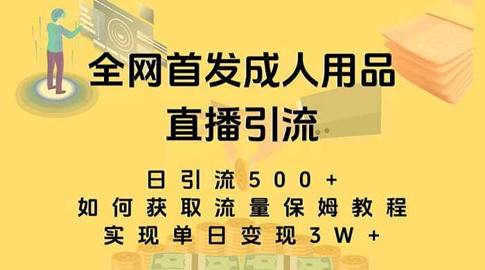 成人用品直播引流获客暴力玩法，单日引流500+，变现 3w+，保姆级教程-项目资源网
