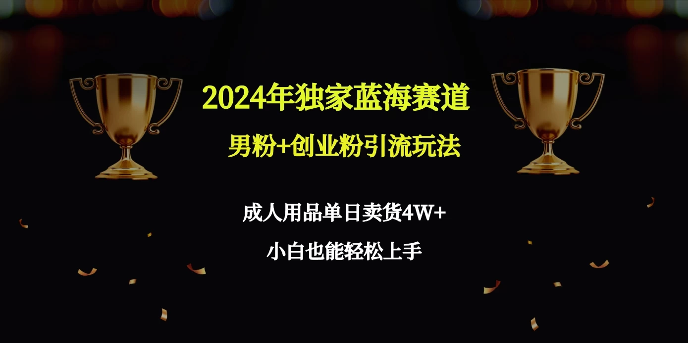 2024独家蓝海赛道，男粉＋创业粉引流玩法。-项目资源网