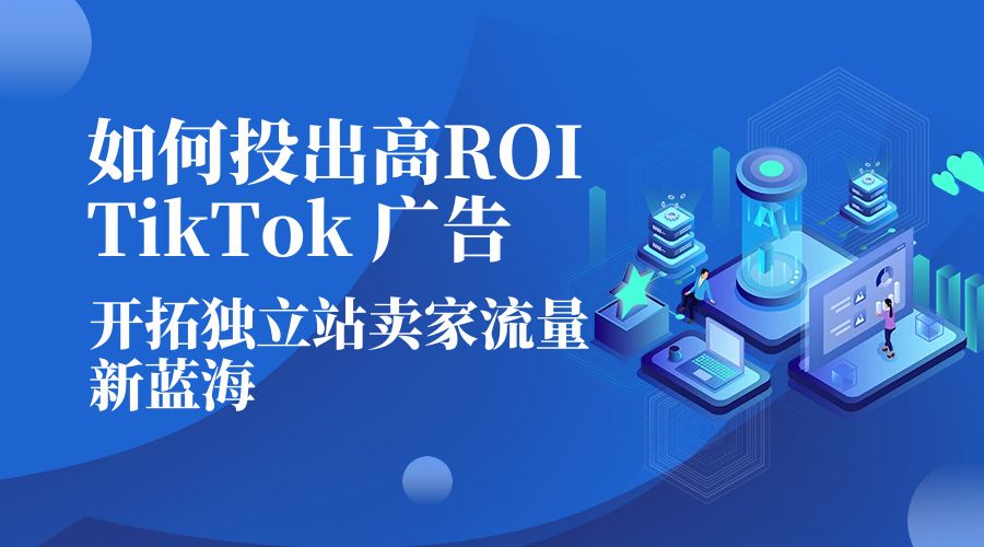 如何投出高 ROI · TikTok 广告：开拓独立站卖家流量新蓝海-项目资源网